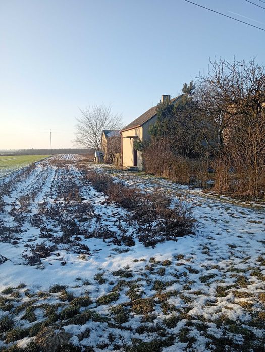 Dom wolnostojący na dużej działce Przybranowo