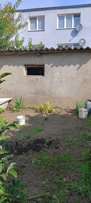 Gruz-cegła za darmo