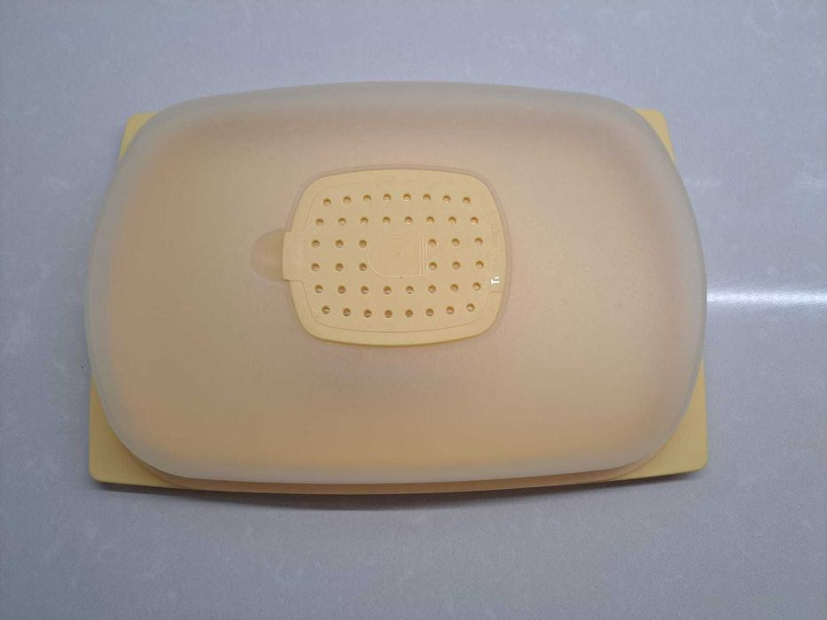 Queijeira retangular Tupperware64729801398530120