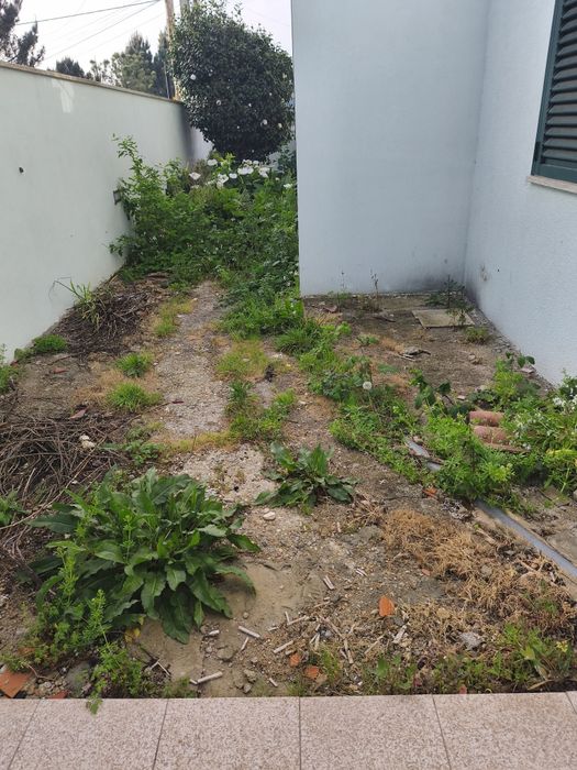 Serviços jardinagem