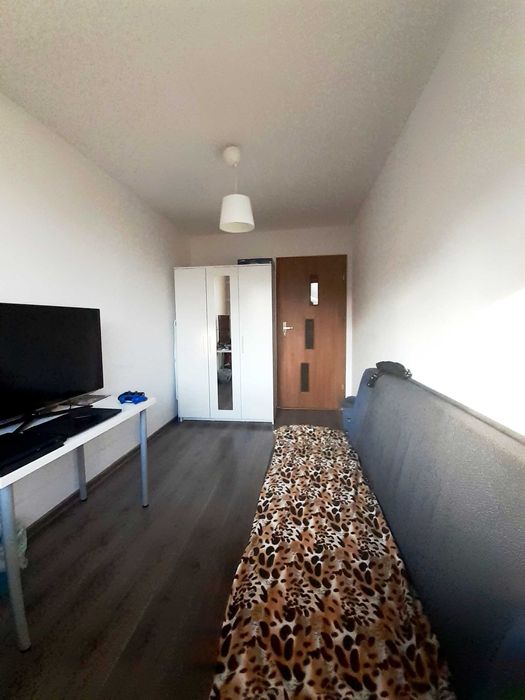 Świeży jednoosobowy pokój ul. Strzegomska