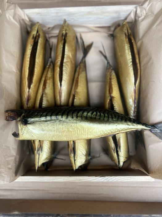 Скумбрія холодного копченя