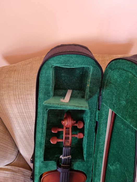 Violino de estudo