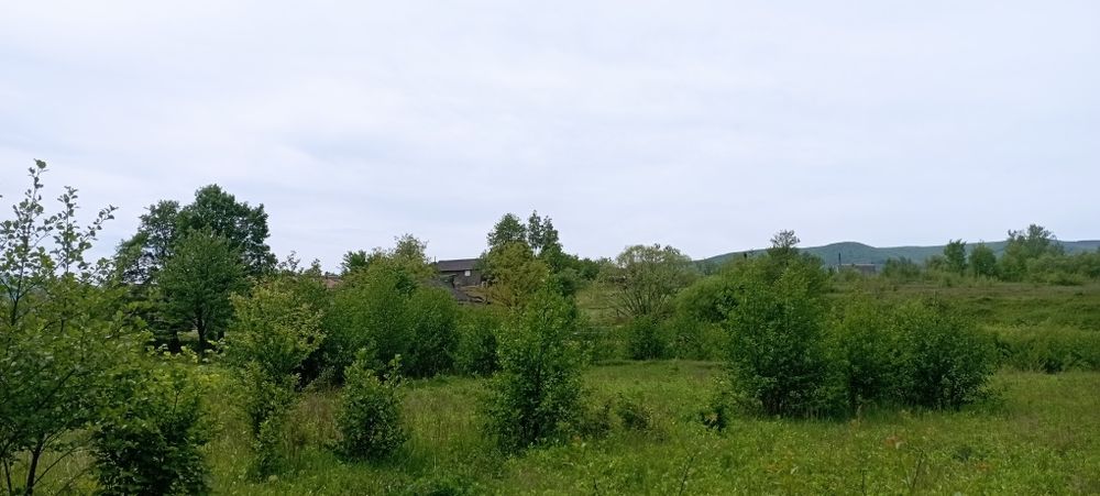 Продам ділянку у рекі Пеня Солочин 6 соток