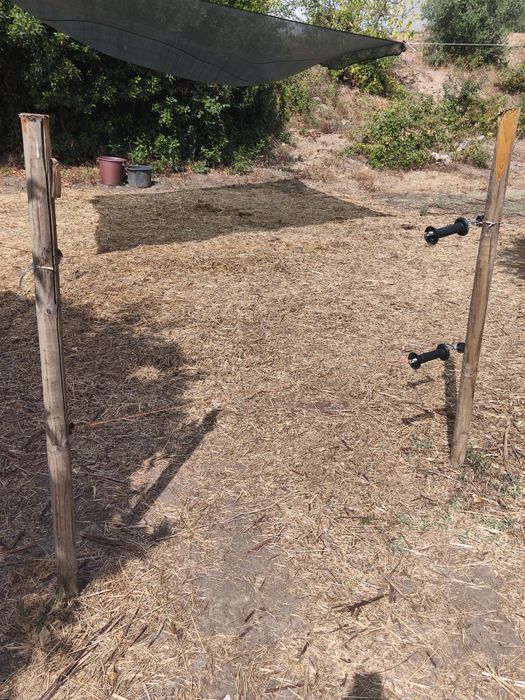 Estrume, leve o que conseguir