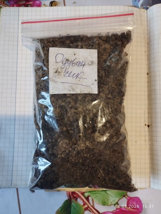 Цикорій троянда чебрець акація піон одуванчик