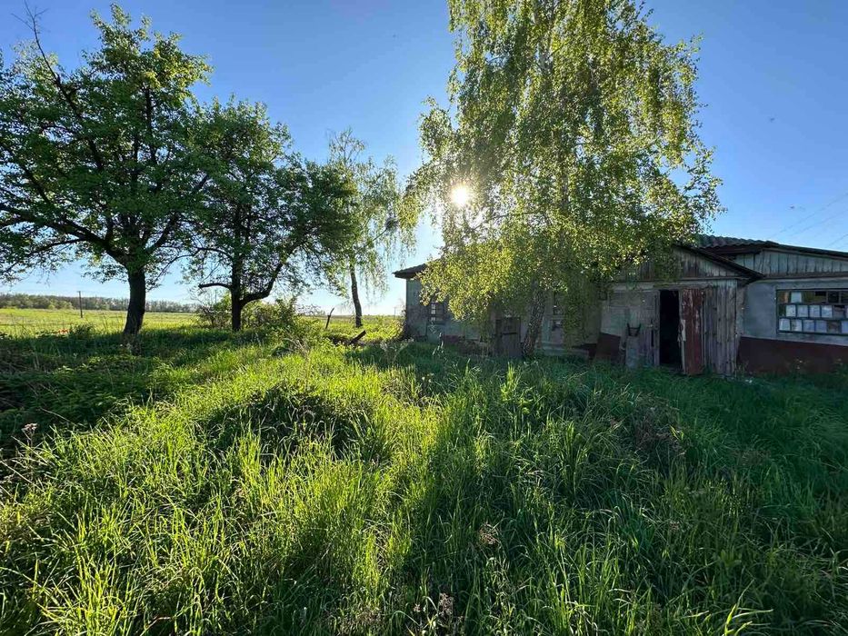 Будинок в Андріївці, неподалік бази відпочинку