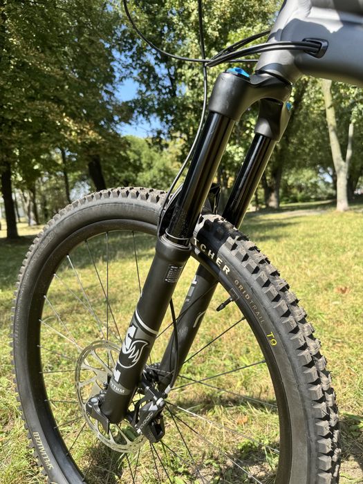 specialized status 160