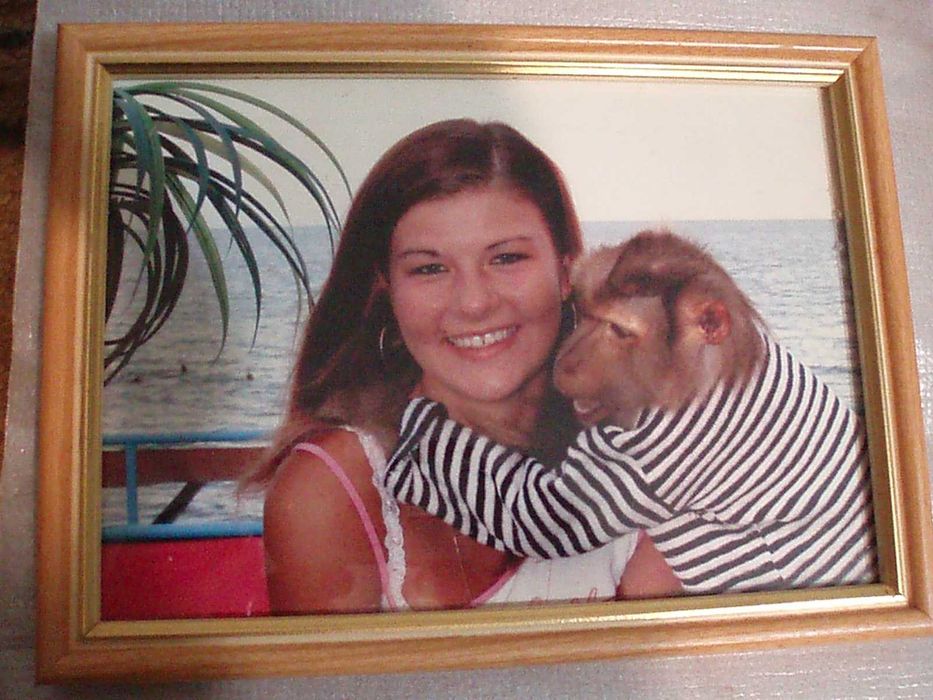 Siemens CX-1;  Coni Eric R600;  Huawe u22, y600;  NGM; mobil PONEJ2000