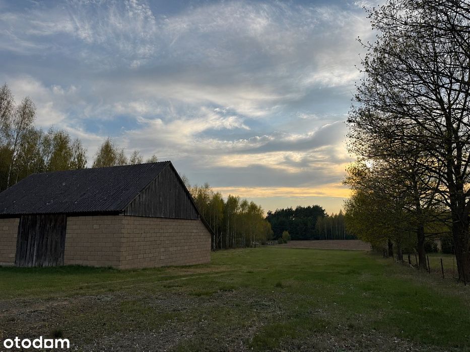 Zdjęcie 4
