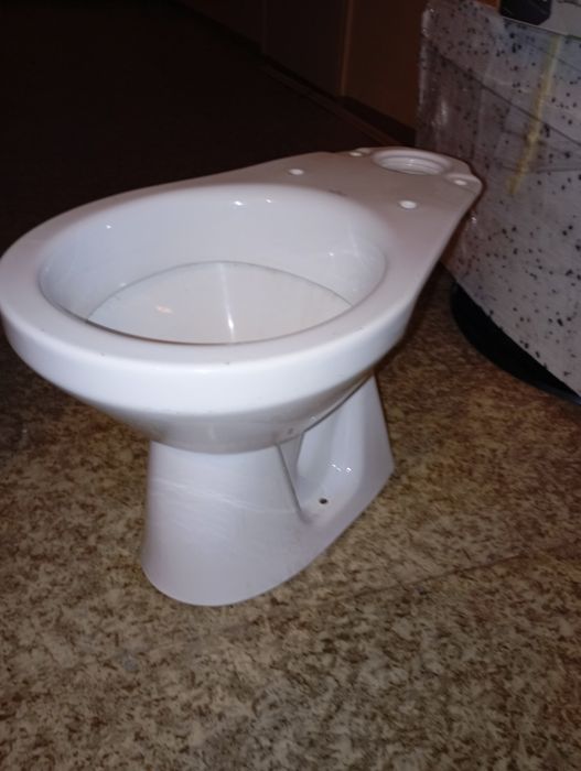Muszla sedesowa WC