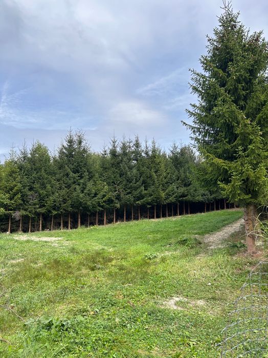 Działka budowlana 12 arów – Uście Gorlickie, Beskid Niski