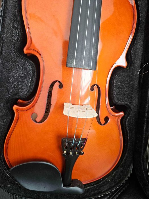 Delson Violin [with carrying case]64550168370178121