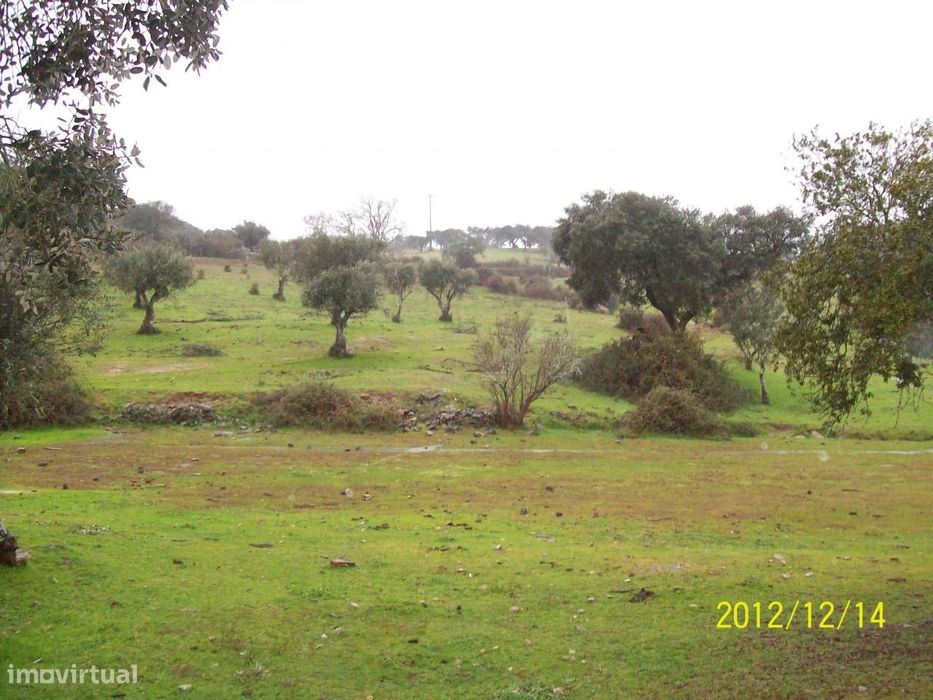 Herdade do Monte da Pedra.