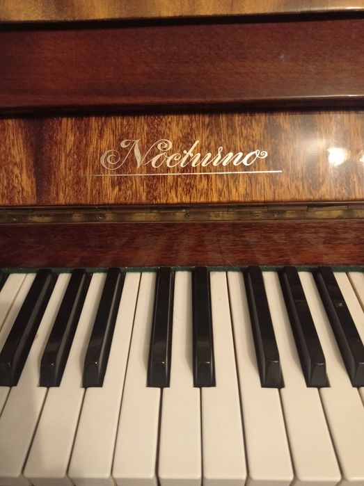 Pianino Nocturno
