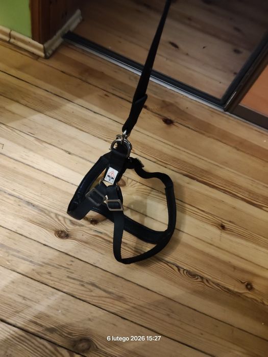 Uprząż dla psa/smycz/pas bezpieczeństwa do samochodu