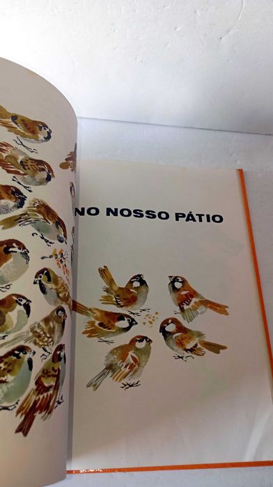 O Meu Primeiro Livro de Zoologia - Livro Antigo