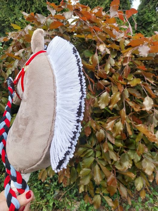 Konik na kiju fiord hobby horse