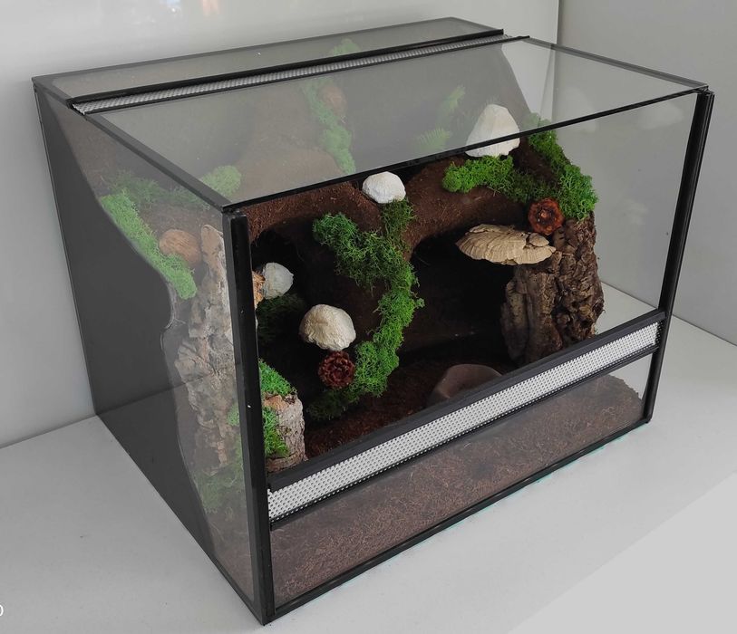 Terrarium dla lasiodory, ptasznika, achatiny, TW10G AquaWaves