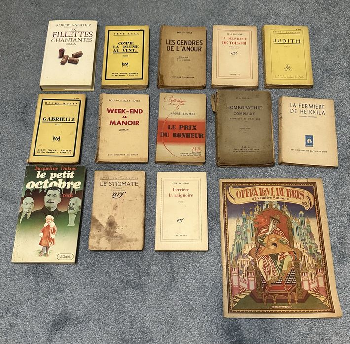 Lote de 14 livros Franceses