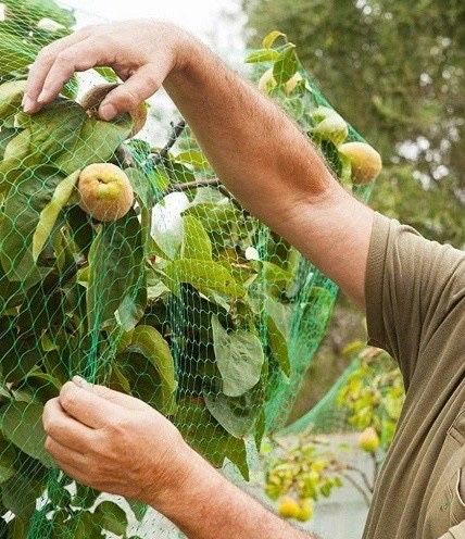Siatka na ptaki 4x5m ochronna przeciw ptakom