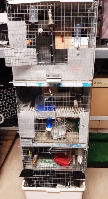 Jaula em cluna  para cinco casais  toda personalizada+ acessórios