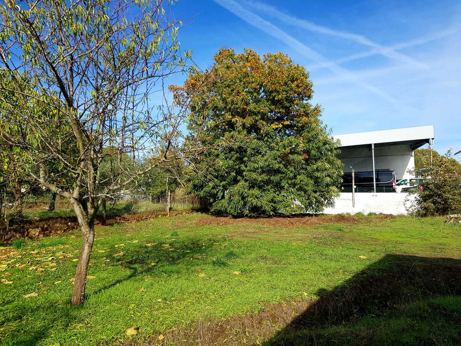 Moradia para restauro 140 m2 mais 60 m2 anexo em lote 1800m2