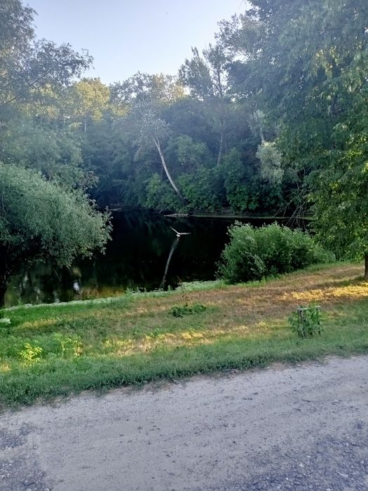 Подобово садиба біля Ворскли та лісу в Нових Санжарах