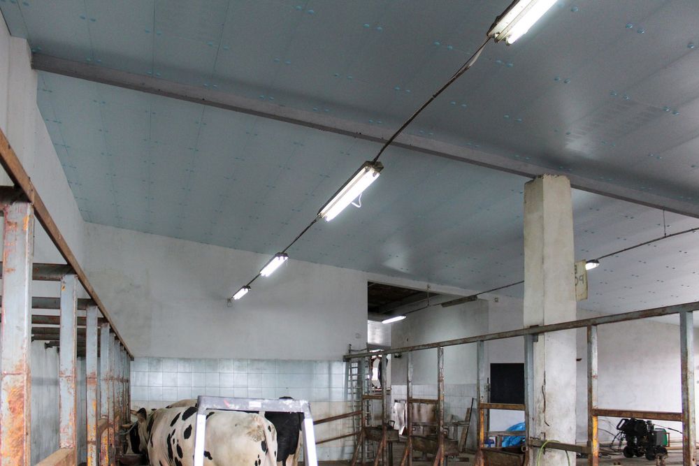 Płyty Styrodur XPS AGRO na Zardzewiałe Płyty Warstwowe Obornickie Rdzę