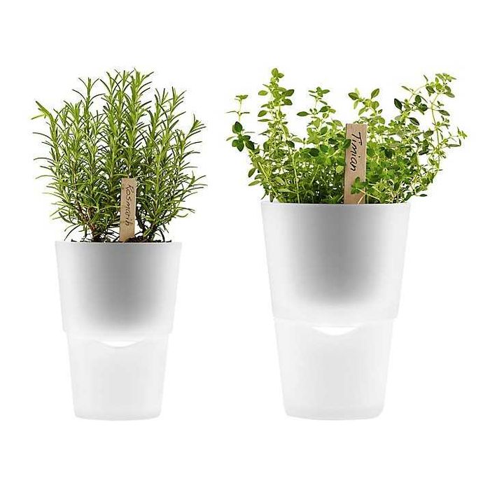 Vasos com reservatório pra água -EVA SOLO.