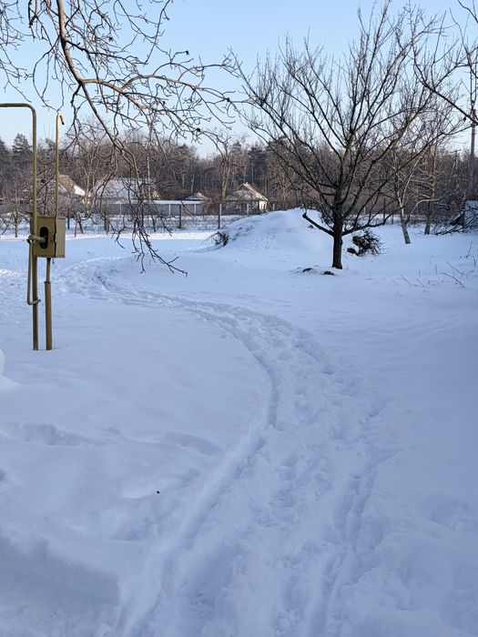 Будинок та молодий садок 300 дерев