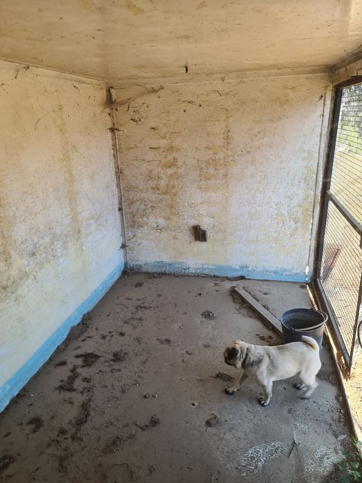 Vendo contentor isotérmico