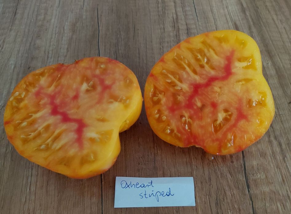 Kolekcjonerskie nasiona pomidorów
