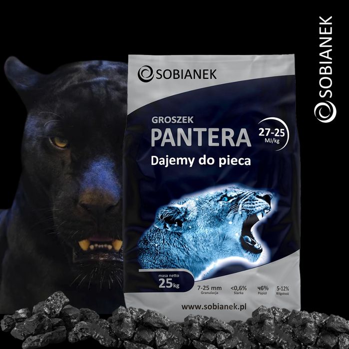 Groszek Sobianek PANTERA 27mj cena Działoszyn, HDS