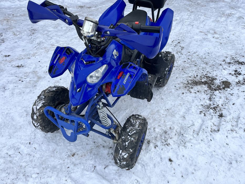 Quad Gepard Eco Cyclops 800W