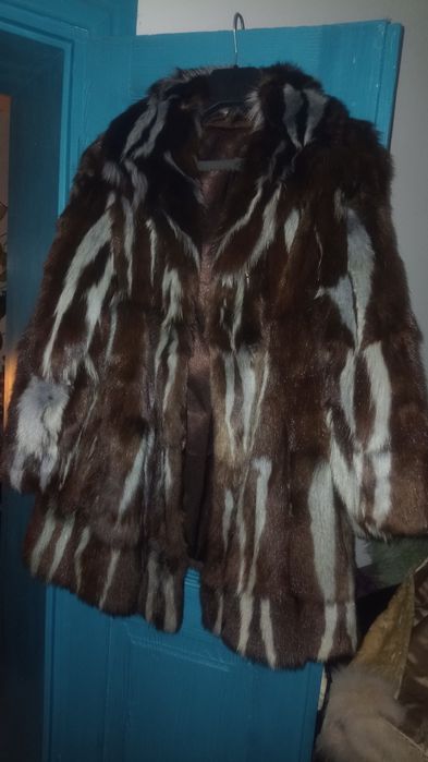 Futro skunksa futro skunksów unikat