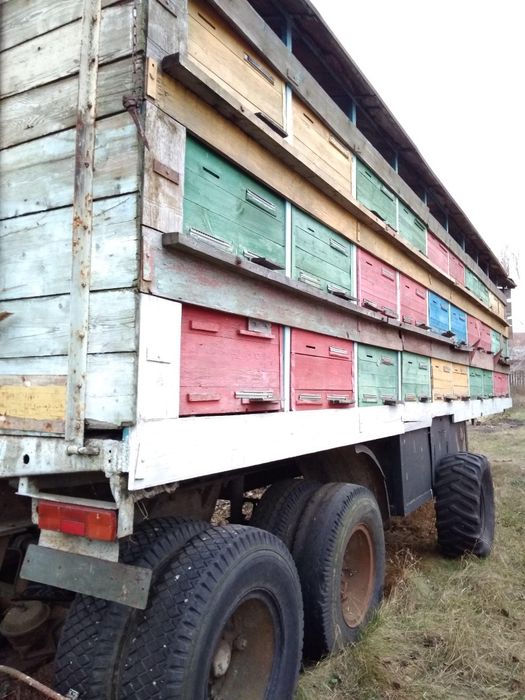 Прицеп с ульями без пчёл павильон причіп з вуликам без бджіл