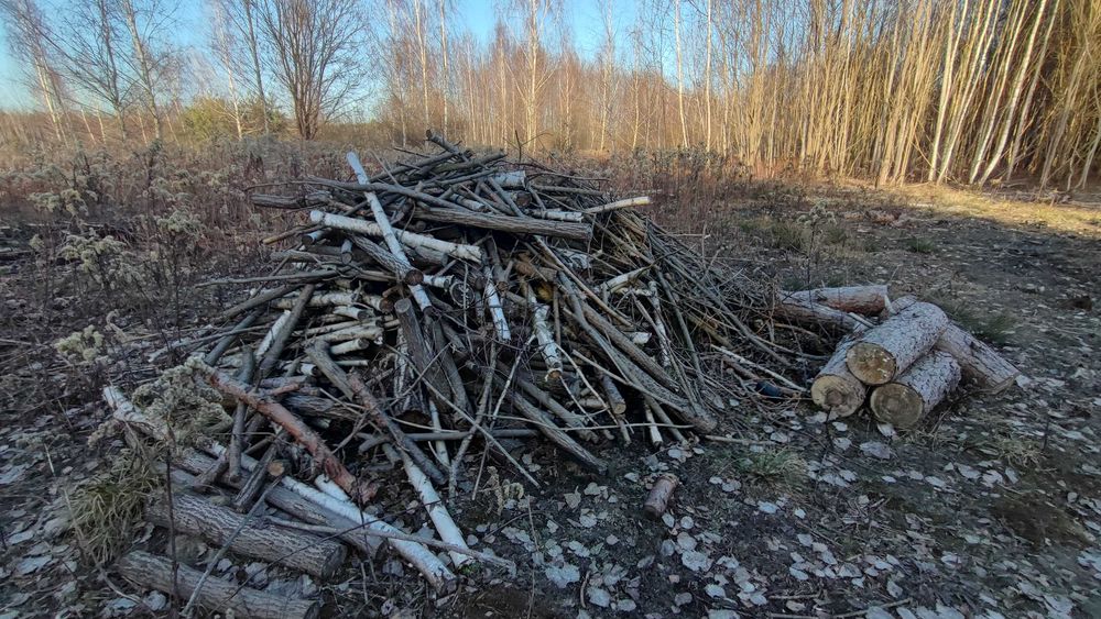 Drewno Opałowe - głównie Sosna