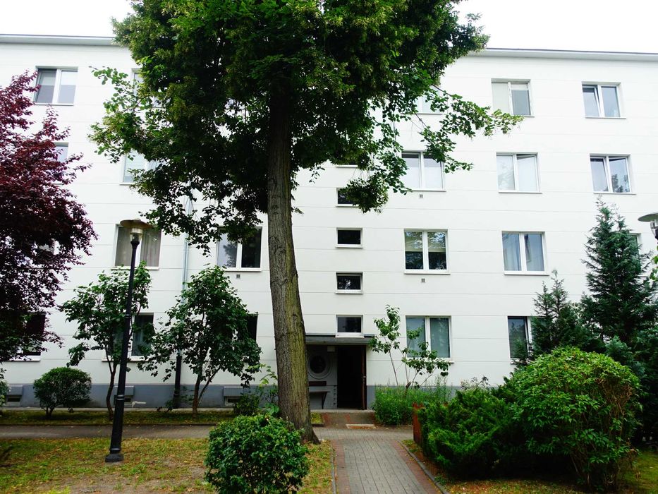 Zdjęcie 8