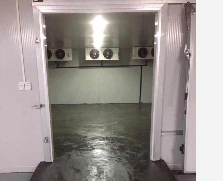 Холодильники промислові для зберігання молочки, камери дозрівання сиру