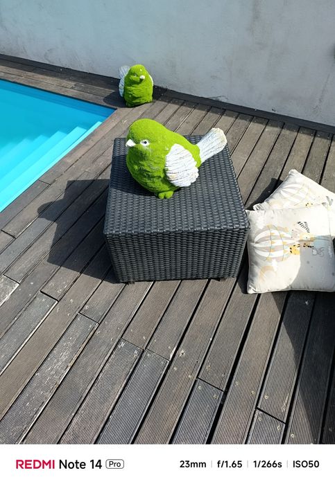 Sofas  caixas  confortáveis