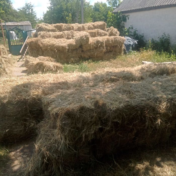Сено луговое в тюках