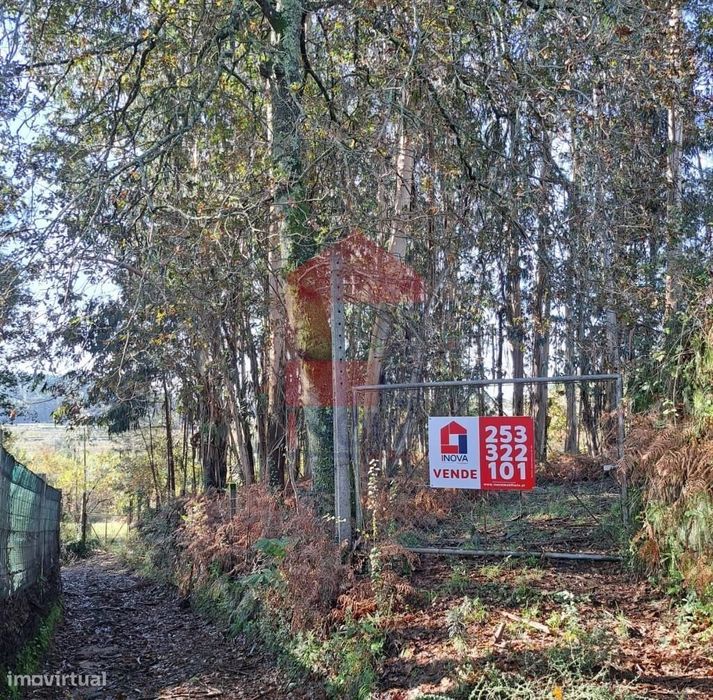 Terreno Agrícola, Gondiães — Pico De Regalados, Gondiães E Mós, Braga