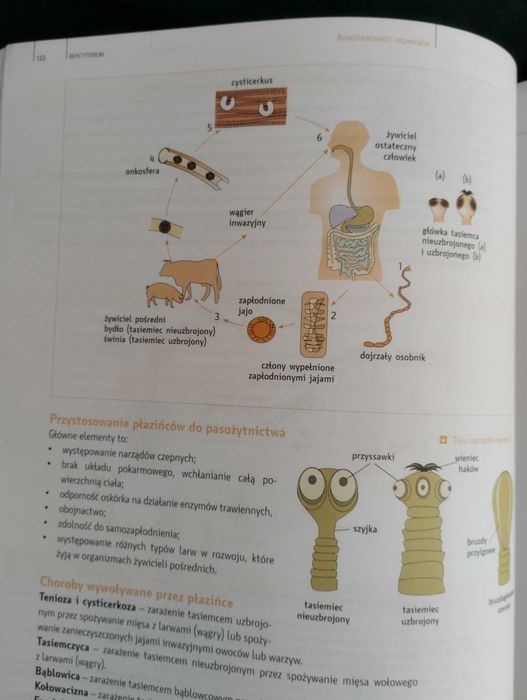 Repetytorium biologia PWN Konieczny, Goralski