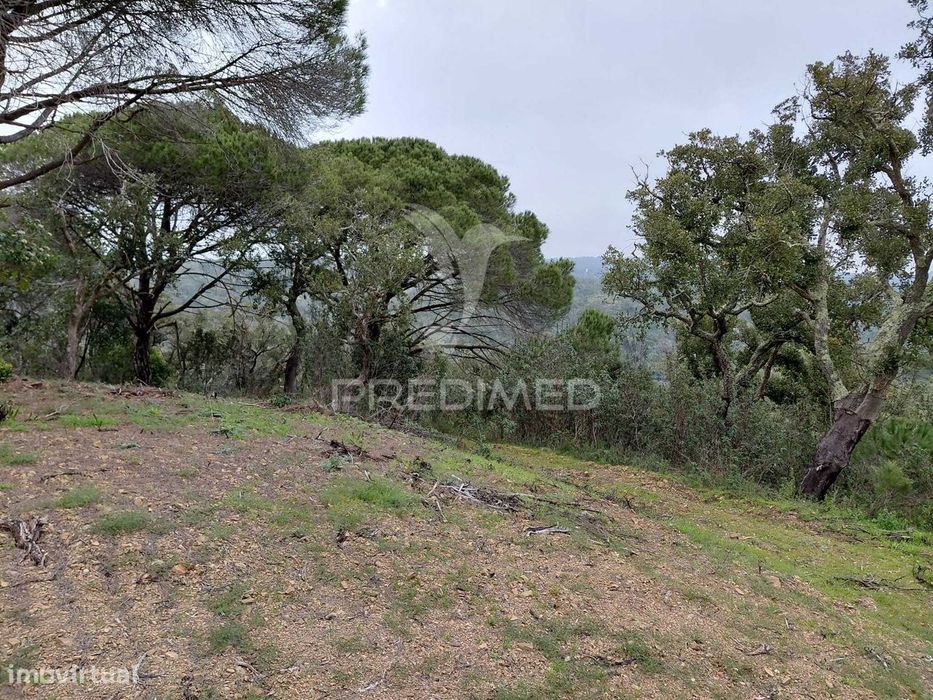 Terreno rústico com 4,050 hc,Quinta Nova, São Francisco da Serra. — São Francisco da Serra, Setúbal