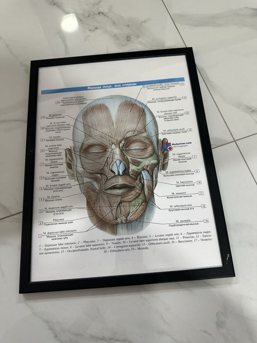 Рамочки для фото