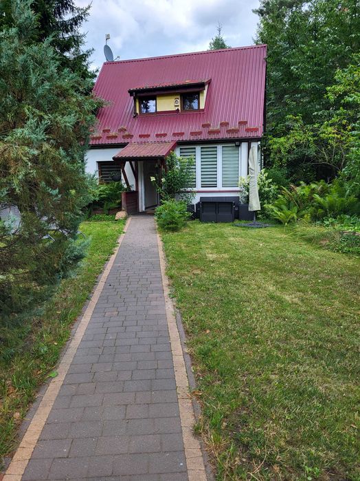 Domek nad jeziorem Łukcze - pojezierze łęczyńsko włodawskie