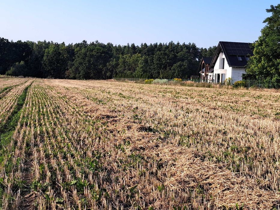 Działki Budowlane w Różankach