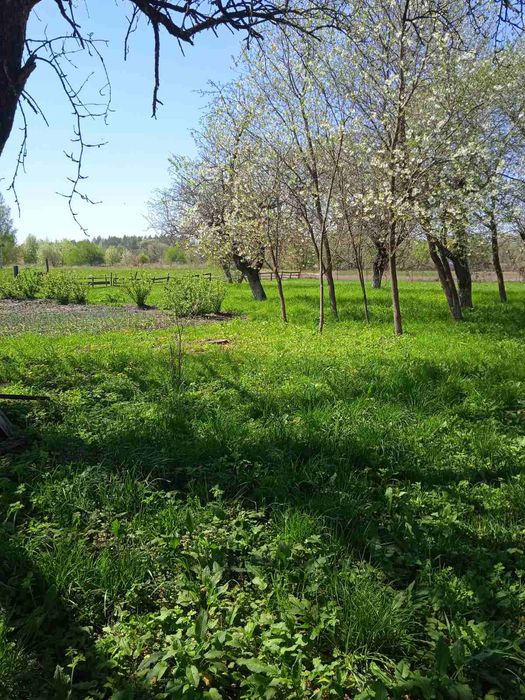 Продам будинок Пасіка