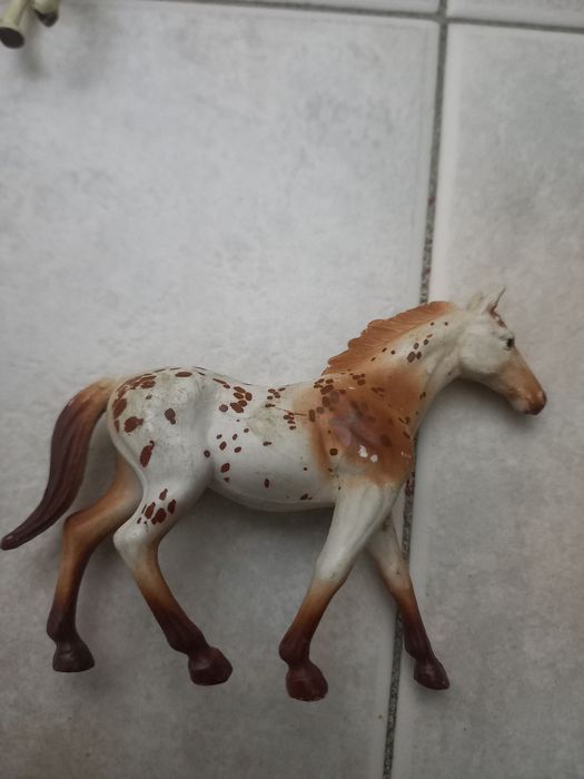 Cavalos com e sem sela